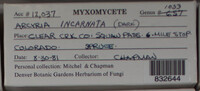 Image Associated With the Occurence